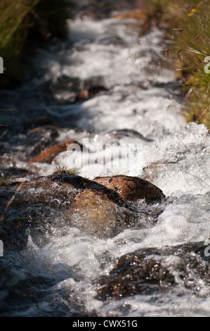 Saubere Berg Wasserkaskaden hinunter von Cairngorm Stockfoto