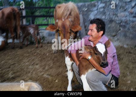 Milchkühe in RIVERA. Abteilung von Huila. Kolumbien Stockfoto