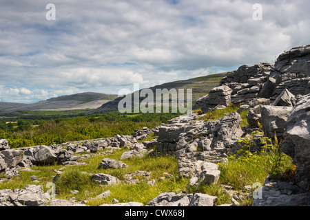 The Burren, Co. Clare, Irland. Kalksteinpflaster durchziehen Risse oder "Grikes" und hinterlassen isolierte Felsen, die "Klinten" genannt werden. Stockfoto