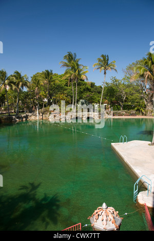 VENETIAN POOL SCHWIMMBAD CORAL GABLES MIAMI FLORIDA USA Stockfoto