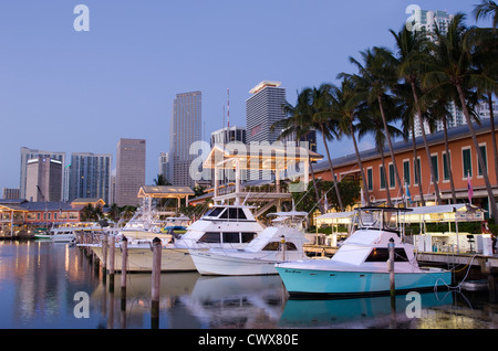 BAYSIDE MARKETPLACE MARINA SKYLINE VON DOWNTOWN MIAMI FLORIDA USA Stockfoto