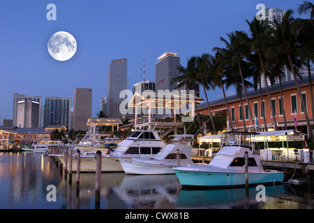 BAYSIDE MARKETPLACE MARINA SKYLINE VON DOWNTOWN MIAMI FLORIDA USA Stockfoto