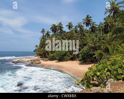 Unberührten Strand mit üppiger Vegetation, Karibikküste von Costa Rica Stockfoto