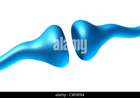 Synapse und Neuron Zellen auf einem weißen Hintergrund senden elektrische Signale und chemische Signalisierung zu menschlichen Rezeptor Zellen als ein ne Stockfoto