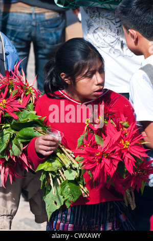 Mädchen, Verkauf von Blumen im lokalen Markt, Chichicastenango, Guatemala. Stockfoto