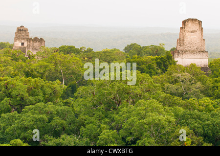 Maya Pyramide Tempelruinen, Tikal National Park, Parque Nacional Tikal, UNESCO-Weltkulturerbe, Guatemala, Mittelamerika. Stockfoto