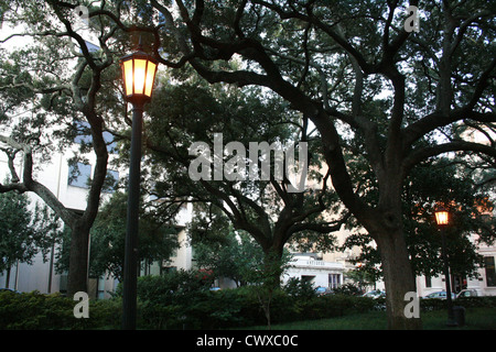 Straßenlaterne Abend Moos Eichen Savannah Georgia Ga fallen Herbst Blätter Nahaufnahme Baum Blätter Natur Stockfoto