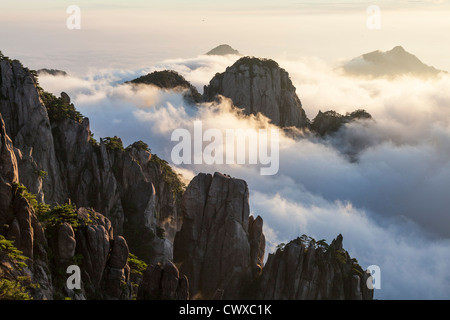 Berg Huangshan (Yellow Mountain) in den frühen Morgenstunden Stockfoto