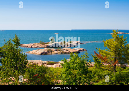 Kleine Insel im Georgian Bay Stockfoto