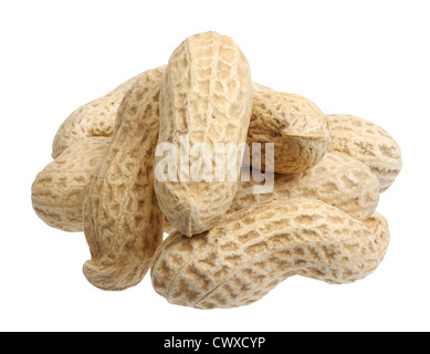 Handvoll Erdnüsse auf einem weißen Hintergrund isoliert Stockfoto