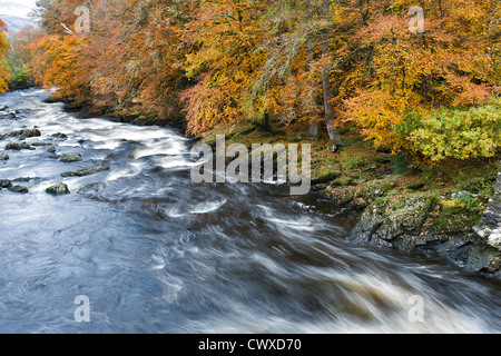 Der Fluss Dochart knapp fällt der Dochart, in wunderschönen herbstlichen Farbe. Stockfoto