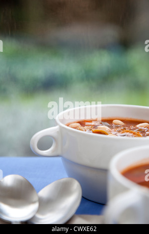 Herzhafte Wintergemüse und Weiße Bohnensuppe an einem regnerischen Nachmittag Stockfoto