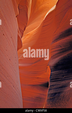 Gebogene orange geschichtete Mauern der Slotcanyon gesehen vom Boden des Canyons Stockfoto