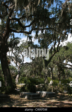 Moos Eichen Savannah Georgia Ga fallen Herbst grünes Blatt schließen lässt Baum Natur Friedhof Friedhöfe Friedhof Friedhöfe Stockfoto