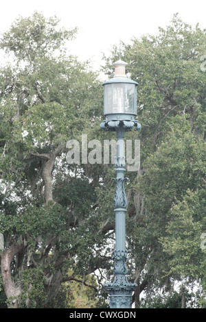 Alte Vintage Antik Straßenlaterne Licht mit Eichen Moos im Hintergrund portrait Stockfoto