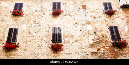Toskanische Fenster mit roten Blüten. Alte Mauer im Hintergrund. Stockfoto