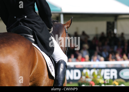 Ein Bild von der Dressur-Phase der 2012 Land Rover Burghley Horse Trials in Stamford, Lincolnshire, UK. Stockfoto