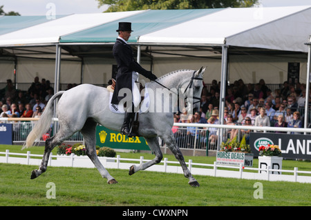 Andrew Nicholson (NZL) Reiten Avebury in der Dressur-Phase der 2012 Land Rover Burghley Horse Trials in Stamford, zahlreich Stockfoto