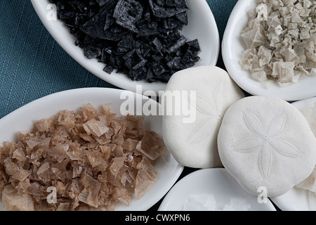 Aromatisierte natürliche Meersalz in weiß Verkostung Löffel mit Sand Dollar als Akzent auf blauem Leinen Tischdecke. Stockfoto