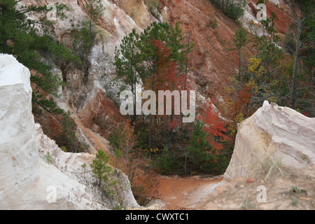 Providence Canyon State Park Landschaft Berg Bild Ton Graben Struktur wenig Georgien Grand canyon Stockfoto