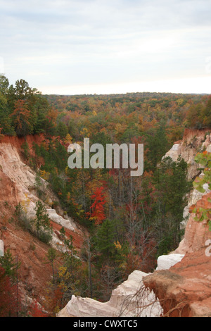 Providence Canyon State Park Landschaft Berg Bild Ton Graben Struktur wenig Georgien Grand canyon Stockfoto