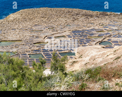 Blick von der Klippe der Salinen in der Nähe von Qbajjar auf der Straße Marsalforn, Insel Gozo, Mittelmeer. Stockfoto