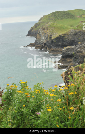 die Küste bei Port Quin Cornwall UK Stockfoto