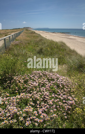 Hengistbury Head im Hintergrund, Solent Strand, Meer Sparsamkeit vorne, Hotel Southbourne, Bournemouth, Dorset, England, UK. Europa Stockfoto