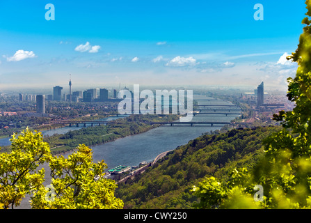 Skyline von Wien und Donau Stockfoto