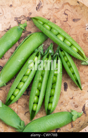 Pisum Sativum. Erbsen in Hülsen in einer Holzschale Stockfoto