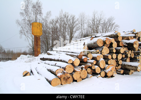 Haufen Brennholz im Winterschnee Stockfoto