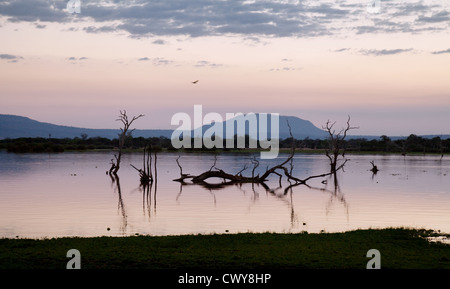 Abends nach Sonnenuntergang am See Manze, das Selous Game Reserve, Tansania Afrika Stockfoto