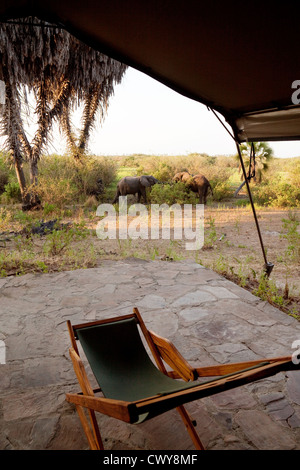 Elefanten in der Morgendämmerung von einem Safarizelt in See Manze gesehen tented Camp Selous Game Reserve-Tansania Stockfoto