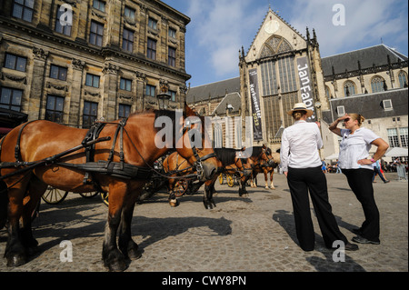 Kutsche Fahrer wartet auf Touristen, Dam Square, Amsterdam, Niederlande Stockfoto