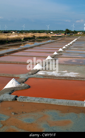 Salz Pfannen von Île-d ' Olonne, Les Sables-d ' Olonne, Vendée, Pays De La Loire, Frankreich. Stockfoto