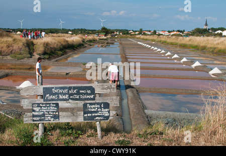 Salzpfannen von Île-d'Olonne, Les Sables-d'Olonne, Vendée, Pays de la Loire, Frankreich. Herstellung von Salz. Salz aus dem Meer ernten. Fleur de sel. Stockfoto