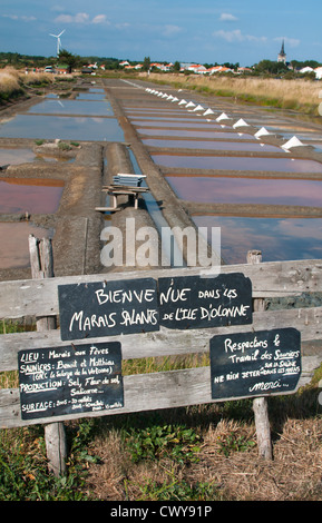 Salz Pfannen von Île-d ' Olonne, Les Sables-d ' Olonne, Vendée, Pays De La Loire, Frankreich. Stockfoto