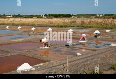 Salz Pfannen von Île-d ' Olonne, Les Sables-d ' Olonne, Vendée, Pays De La Loire, Frankreich. Stockfoto