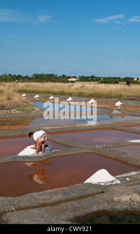 Salzpfannen von Île-d'Olonne, Les Sables-d'Olonne, Vendée, Pays de la Loire, Frankreich. Salz ernten. fleur de Sel. Stockfoto