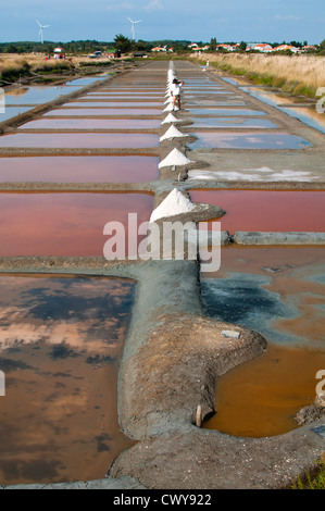 Salzpfannen von Île-d'Olonne, Les Sables-d'Olonne, Vendée, Pays de la Loire, Frankreich. Traditionelle Methode der Salzherstellung. Stockfoto