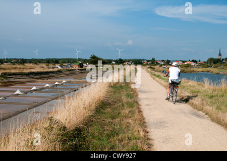 Radfahren entlang der Salinen von Île-d ' Olonne, Pays Les Sables-d ' Olonne, Vendée, De La Loire, Frankreich. Stockfoto