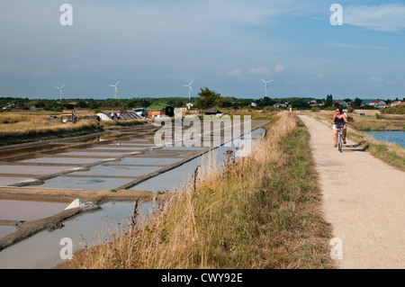 Salz Pfannen von Île-d ' Olonne, Les Sables-d ' Olonne, Vendée, Pays De La Loire, Frankreich. Stockfoto