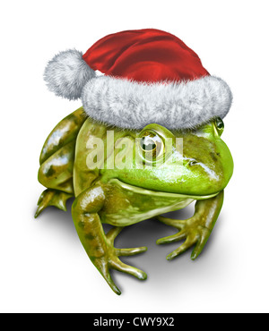 Urlaub-Frosch als eine grüne Amphibien tragen eine Weihnachtsmütze als eine festliche Symbol für Natur und Naturschutz in der Jahreszeit des Schenkens auf weißem Hintergrund. Stockfoto