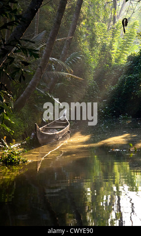 Ein Ruderboot in einem Nebenfluß. Kerala Backwaters, Indien Stockfoto