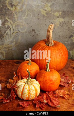 Herbst-Kürbis und dekorative Squash mit Herbstlaub auf einem Holztisch. Stockfoto