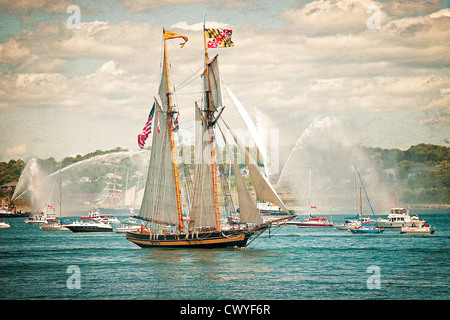 Der Stolz der Baltimore ll im Hafen von Halifax in Nova Scotia Tall Ships Festival. Antike Vignette zu beenden. Stockfoto