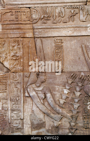 Hieroglyphen und Relief im Tempel von Kom Ombo, Ägypten Stockfoto