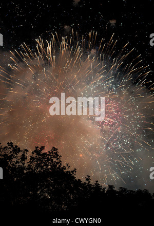 Diamond Jubilee Concert Feuerwerk von Eccleston Square aus gesehen Stockfoto