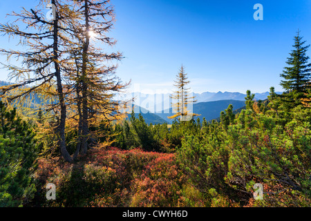 Herbstliche Berglandschaft am Dachstein, Ramsau, Österreich Stockfoto