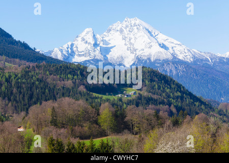 Blick von den Hängen des Rossfeld zum Watzmann, Berchtesgadener Alpen Stockfoto